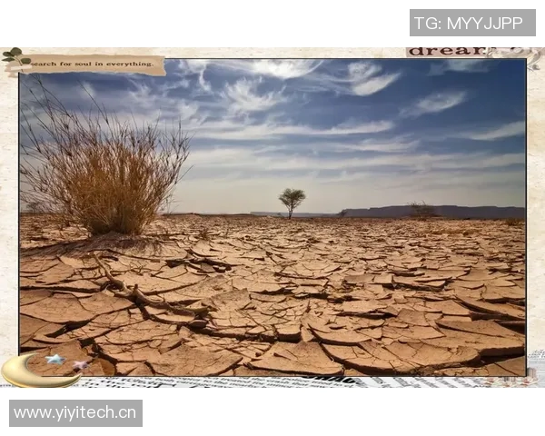 全球气候变化加剧 极端天气频发 世界各国应对措施面临挑战